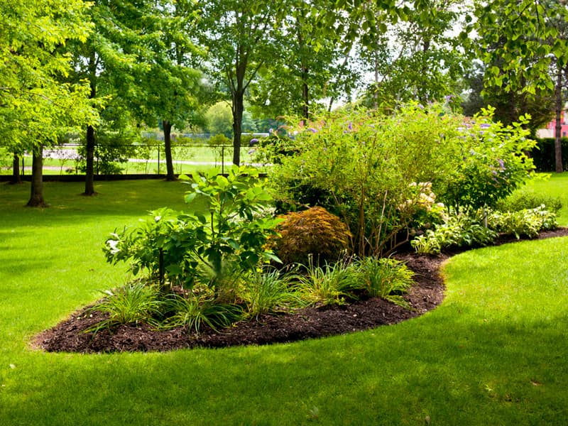 Aménagement de jardin : préparer votre projet